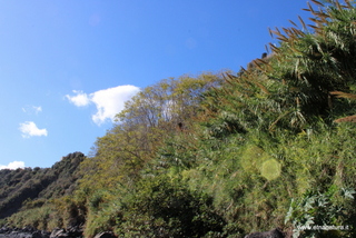 uccio-12-11-2023 10-36-13